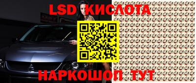 спайс Коммунар